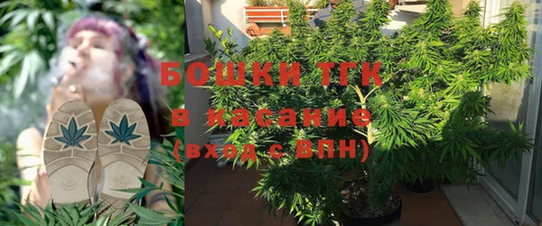 прущая мука Верея