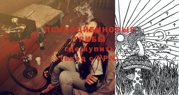 прущая мука Верея