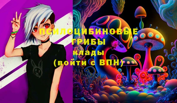 прущая мука Верея