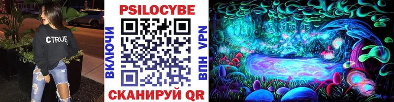 Псилоцибиновые грибы Magic Shrooms  купить наркотик  ОМГ ОМГ зеркало  Ржев 